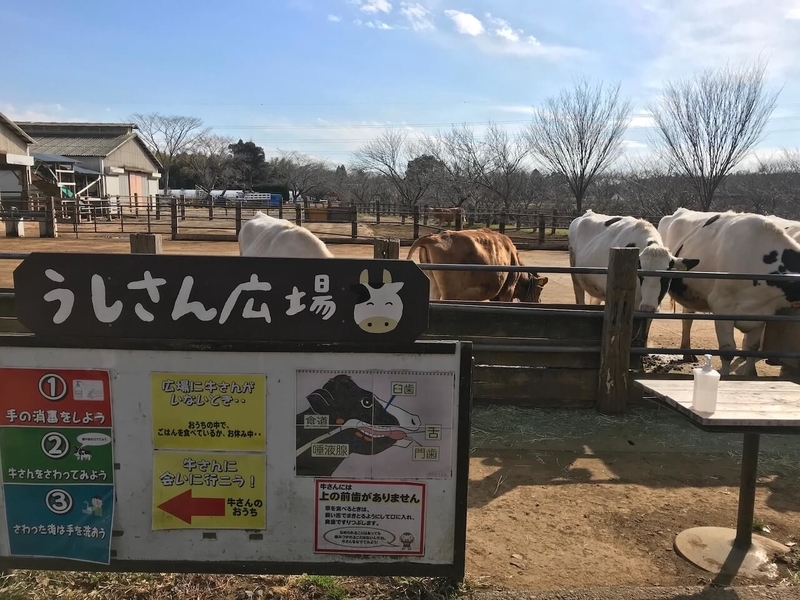 大人も子供も楽しい「成田ゆめ牧場」のアクセス・駐車場・料金など