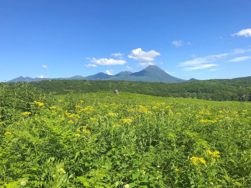 世界遺産 知床のオススメ観光地・トレッキングスポットを暴露します
